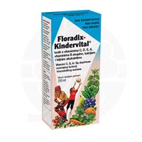 DIETPHARM - Floradix Kindervital