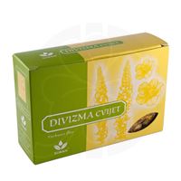 SUBAN - Divizma cvijet